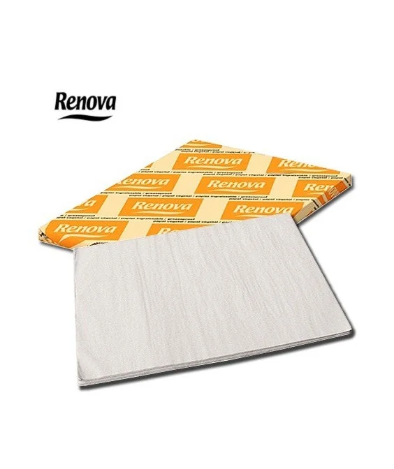 Pack 25 Folhas Papel Vegetal Renova 38g 75x100